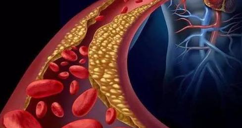 维生素c加甘油的作用,维生素c可以美白吗怎么吃