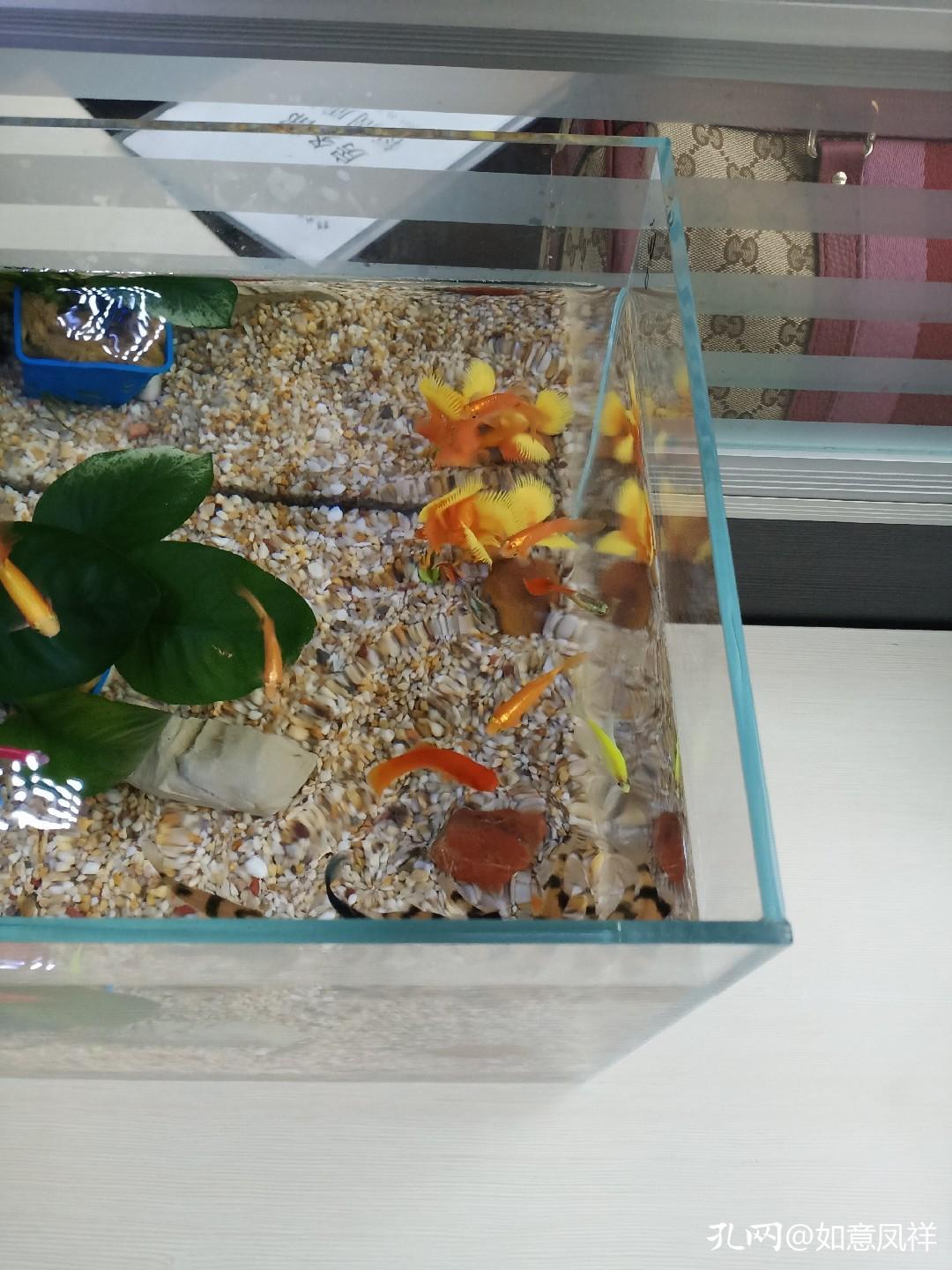 去除书籍味道,怎样去除书本异味