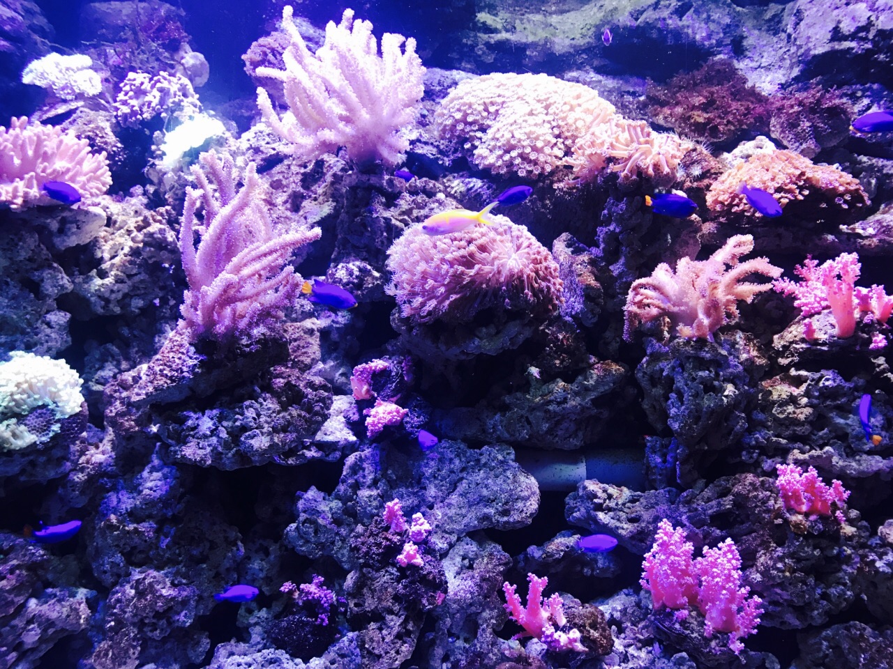 海洋馆郑州海洋馆,郑州海洋馆极地海洋世界