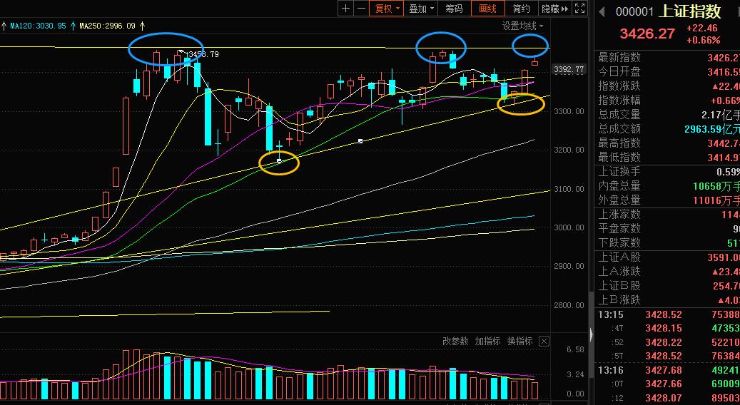 汇金股份最新消息数字货币,汇金股份和数字货币