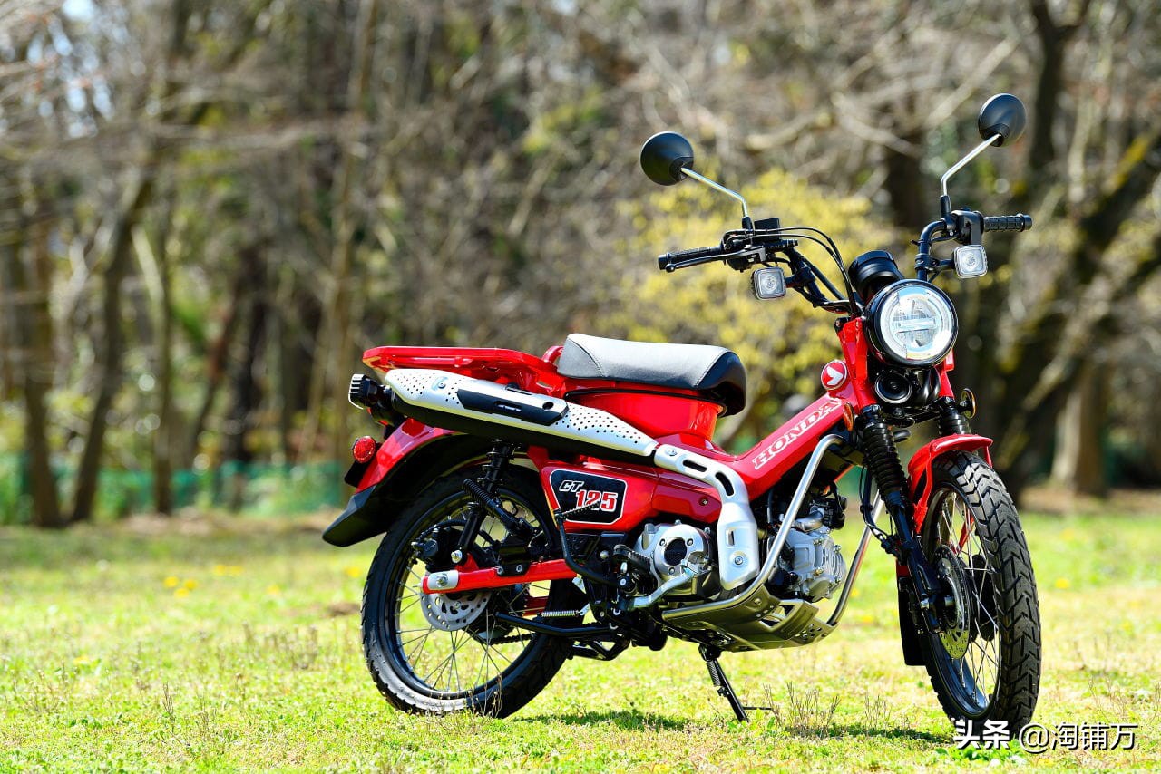 本田猎人幼兽国内售价,本田幼兽售价