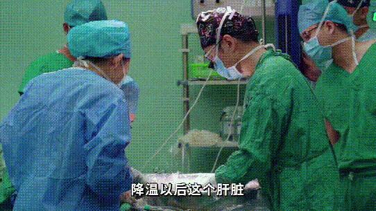 把肝脏取出来,把肝取出来会怎么样