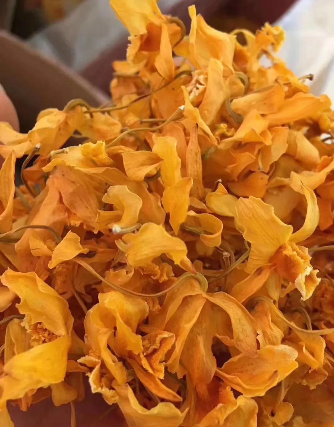 2022年野生菌什么时候大量上市 (山里的野菌样品及价格)