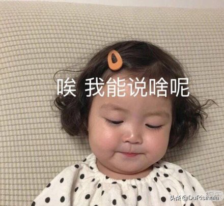 渣男遇到拜金女完整视频,渣男遇上拜金女