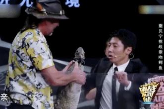 撒贝宁和尼格买提康辉,撒贝宁尼格买提cp视频