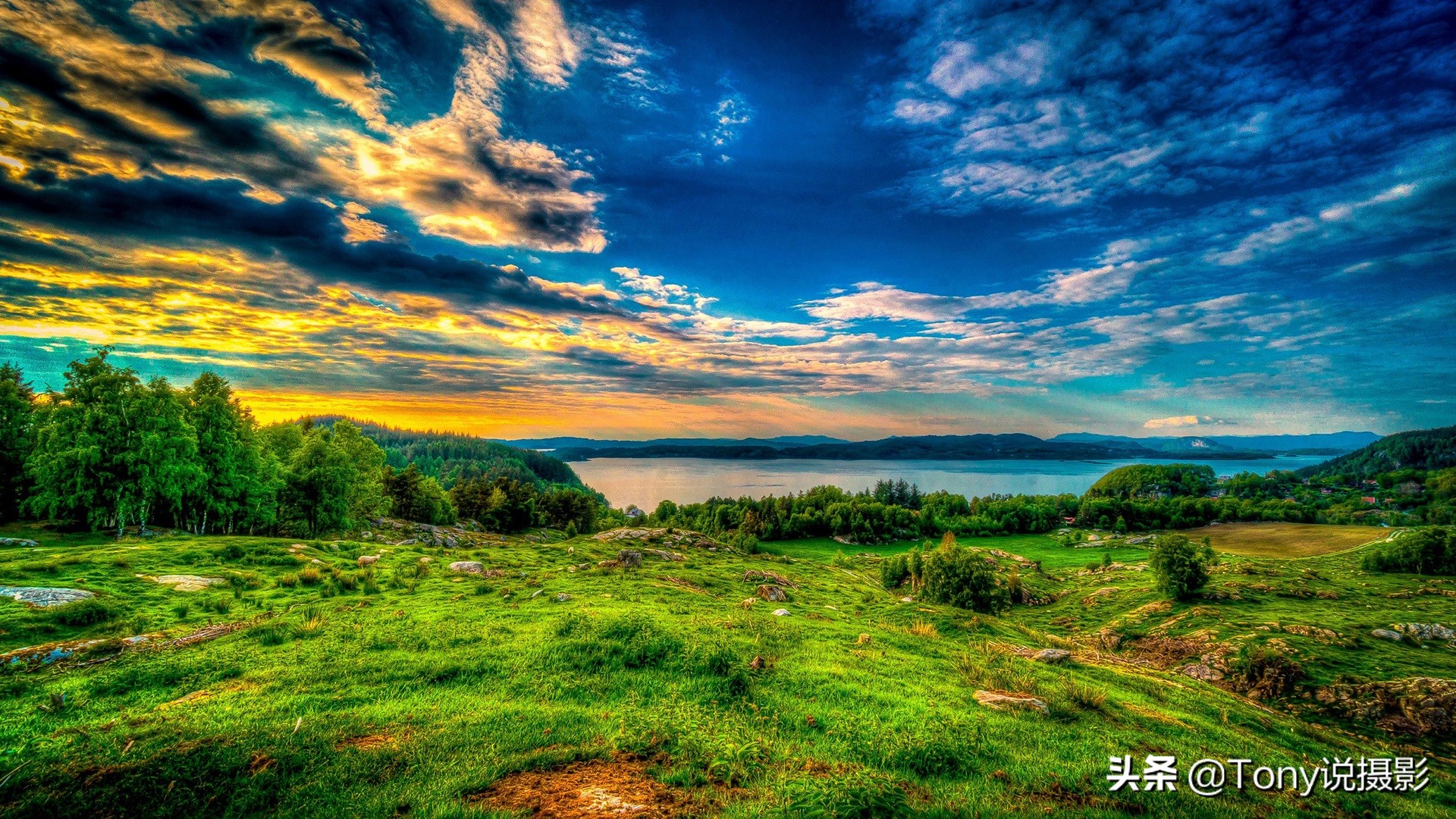 不同摄影题材的镜头选择,摄影打鸟相机镜头推荐