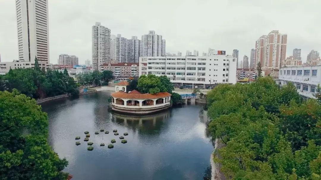 普陀区还有发展机会吗现在,普陀年收入