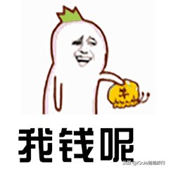 廉航低成本航空,廉航与普通航空选择