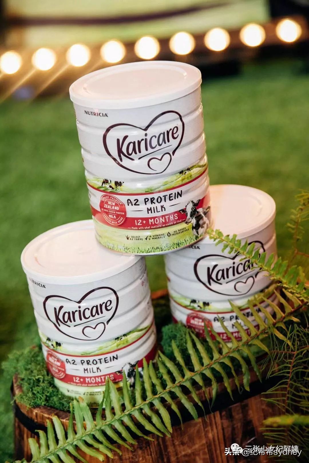 可瑞康原装进口奶粉,可瑞康奶粉澳洲价格