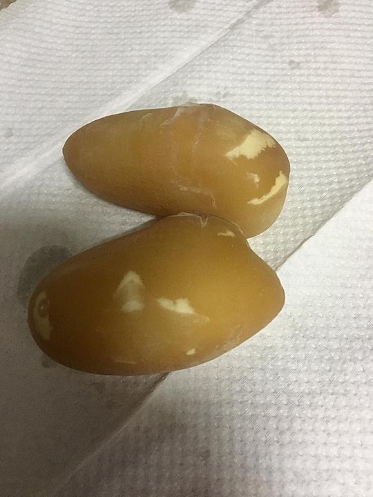 宠物蛇下几次蛋,宠物蛇下的水蛋可以吃吗