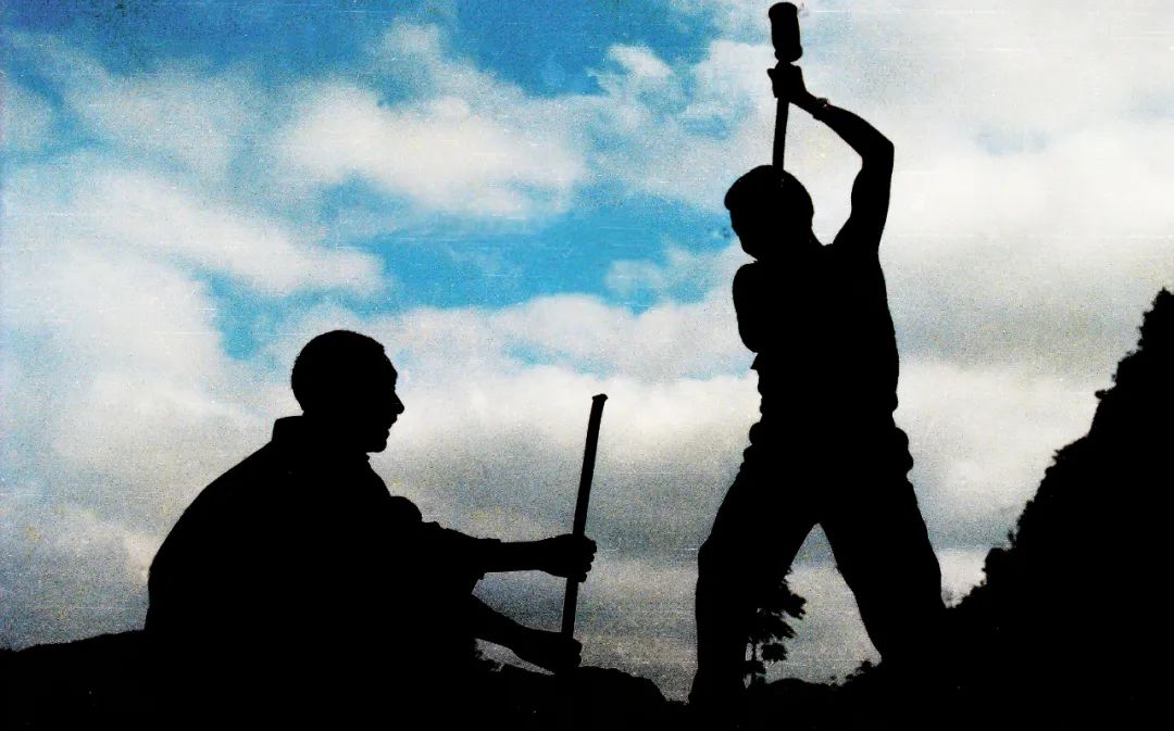 「农民日报推出《特困片区脱贫记》系列报告文学⑨」开在石头上的花