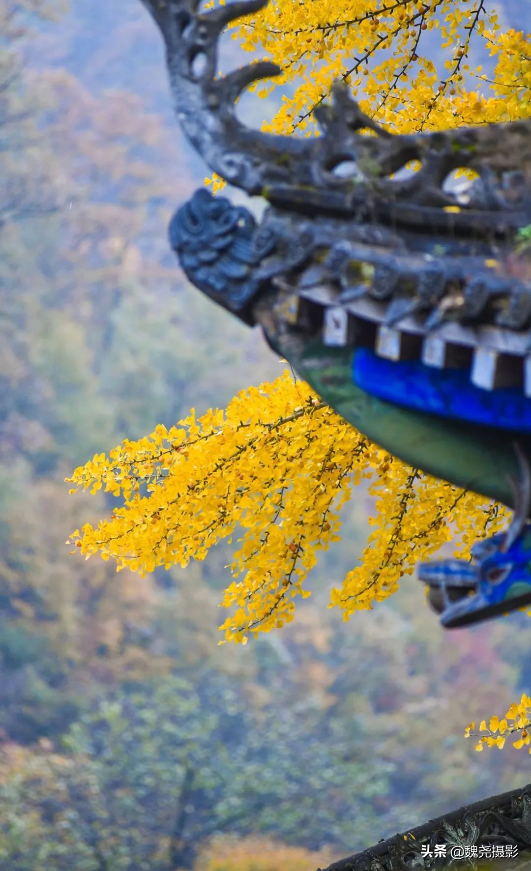 留坝秦岭之夜,留坝秦岭森林公园