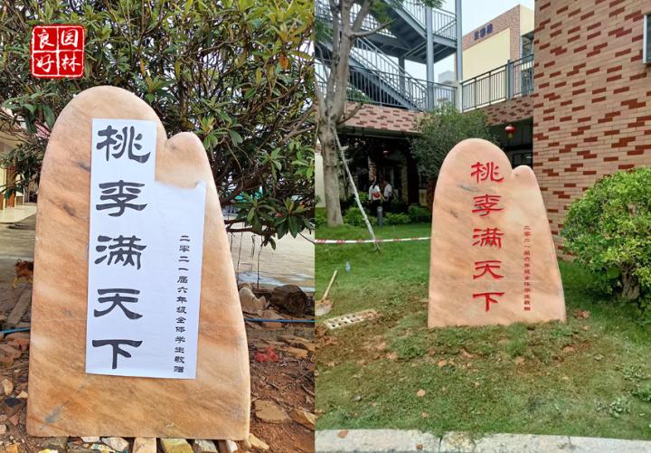 校园草坪文化石图片大全,校园文化石图片大全