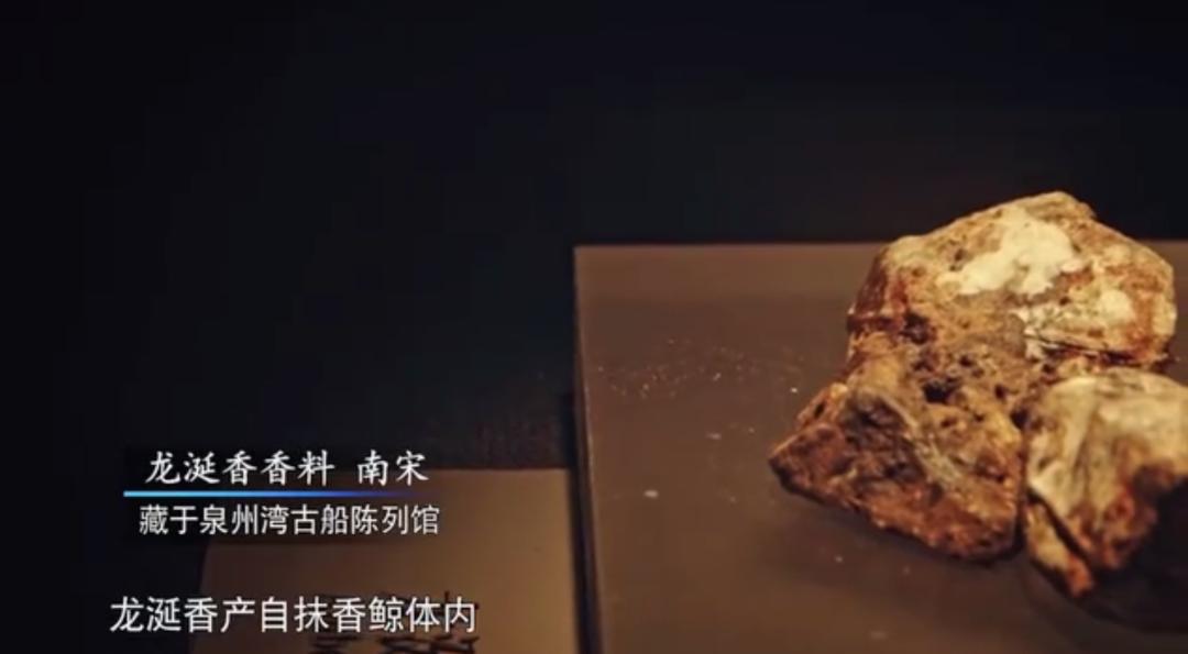 重返刺桐城历史,重古惜今