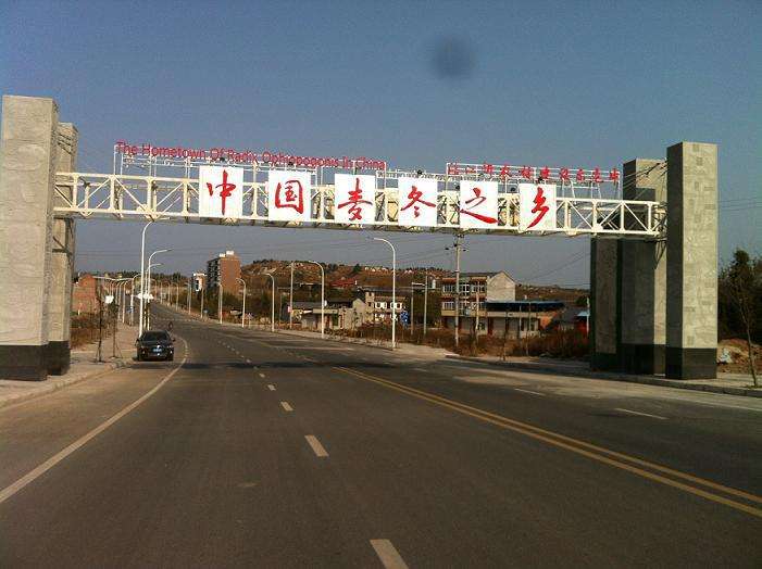 两江交汇的山城,两江交汇山城美景