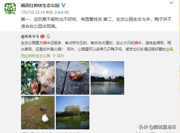 下雨过后路边为什么会出现蜗牛,深圳雨后出现非洲大蜗牛怎么处理