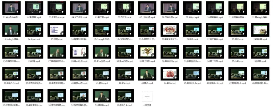 210G解剖学视频，包含系统、断层、运动、人体和局部解剖学