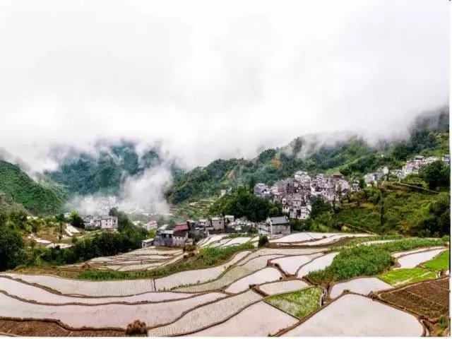 大自然唯美黄山风景摄影,打卡歙县蜈蚣岭高山茶梯田