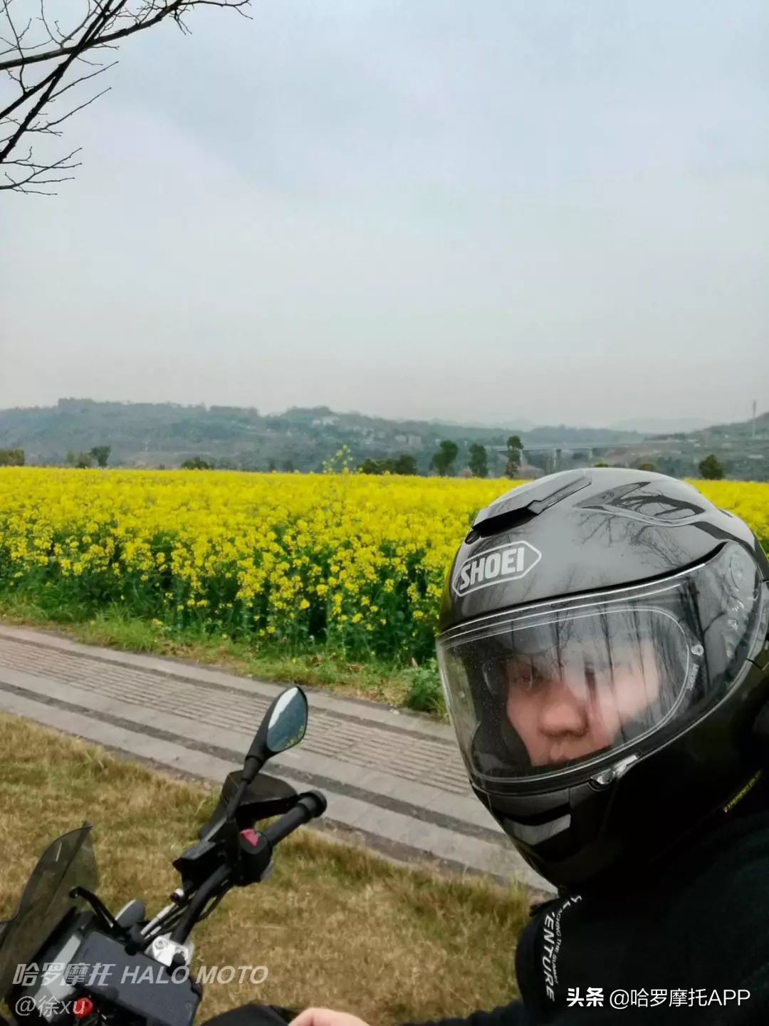 宝马g310r和g310gs的区别,宝马g310rr跟宝马g310gs的区别