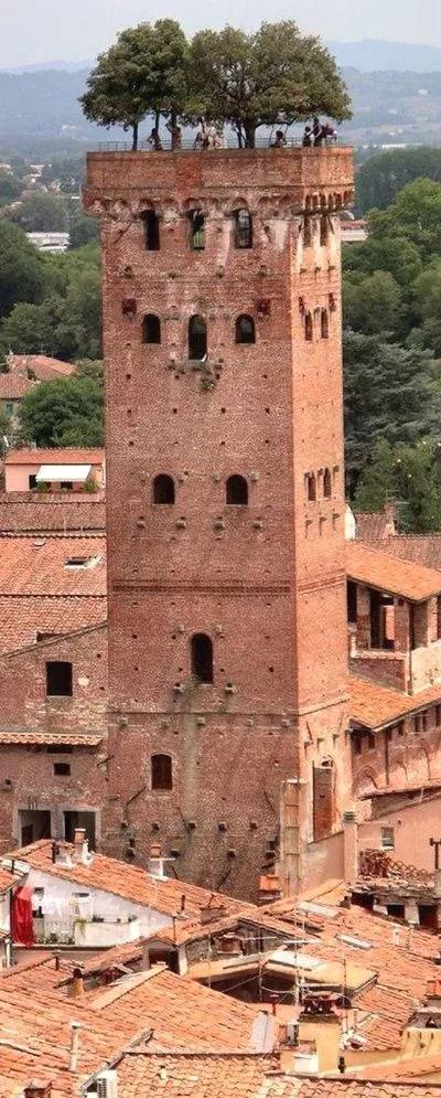 难得一见的照片,难得一见真实照片