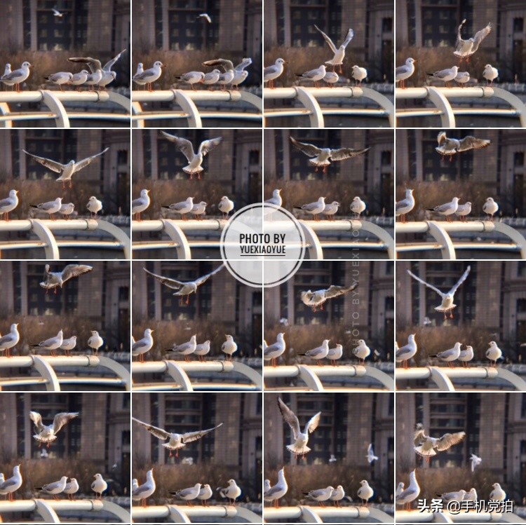 手机如何拍好“动态物体”？实例教你拍光轨、追焦、水拉丝