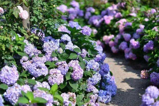 成都两日游旅行攻略,成都到达古冰川2日游攻略多少钱