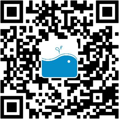 法国交友软件,前两年很火的跨国交友软件