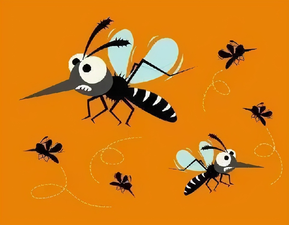 蚊子叮人会把人叮醒吗,蚊子叮人会吐旧血吗