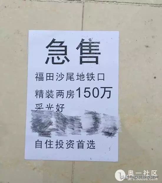 深圳房姐1200套房子,深圳房产真实现状