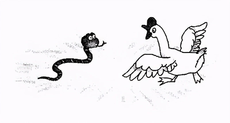 为啥有鹅的地方没有蛇,鹅的粪便能驱赶蛇是真的吗