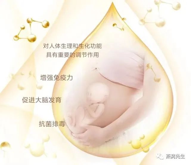 燕窝选购知识雨季燕窝和旱季燕窝,燕窝和燕窝有什么区别