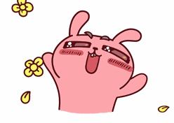 甜玉米新货上市,超级甜糯玉米新品种