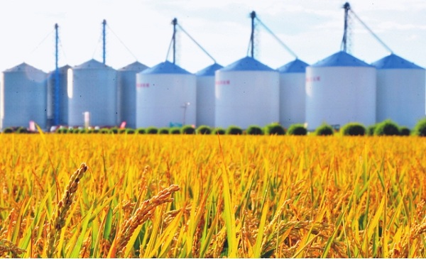 北大荒位列世界品牌500强第多少位,北大荒品牌价值已高达多少亿元