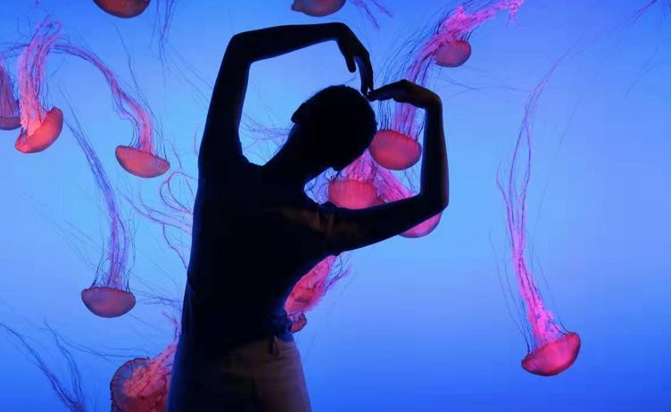 南京海底世界小朋友要票吗,南京海底世界99元一大一小套票