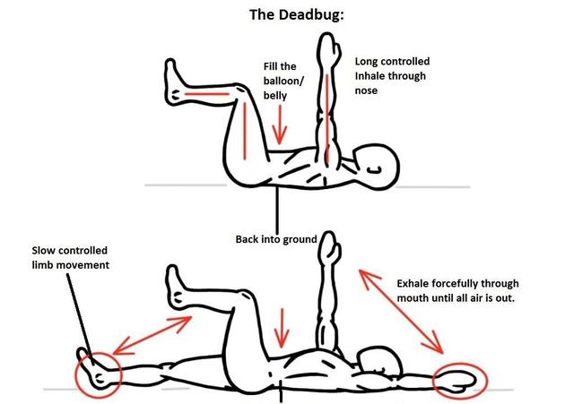 小肚腩凸起，教你解决3个问题，告别小肚腩，拥有平坦小腹
