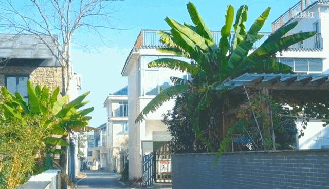 马云去的江西小镇,马云在浙江几个小镇