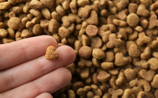 博美犬吃什么狗粮排行榜,博美犬吃什么牌子狗粮最好吃