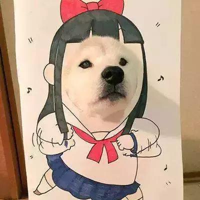 溜溜果园利润怎么样,溜溜果园杨帆简历