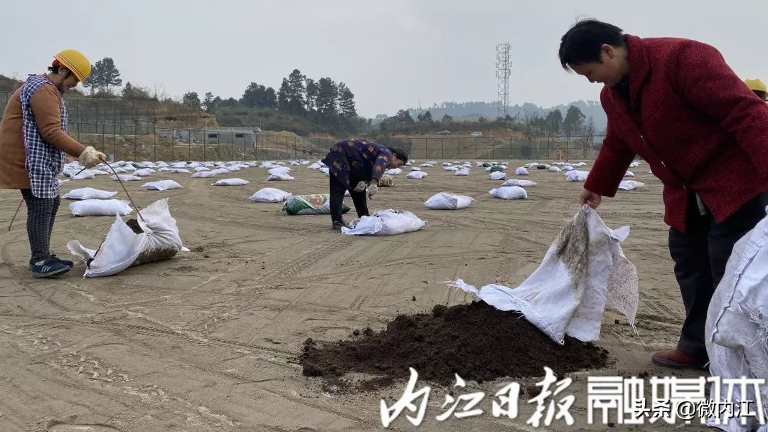内江投资180亿,内江连界足球训练基地6号场地