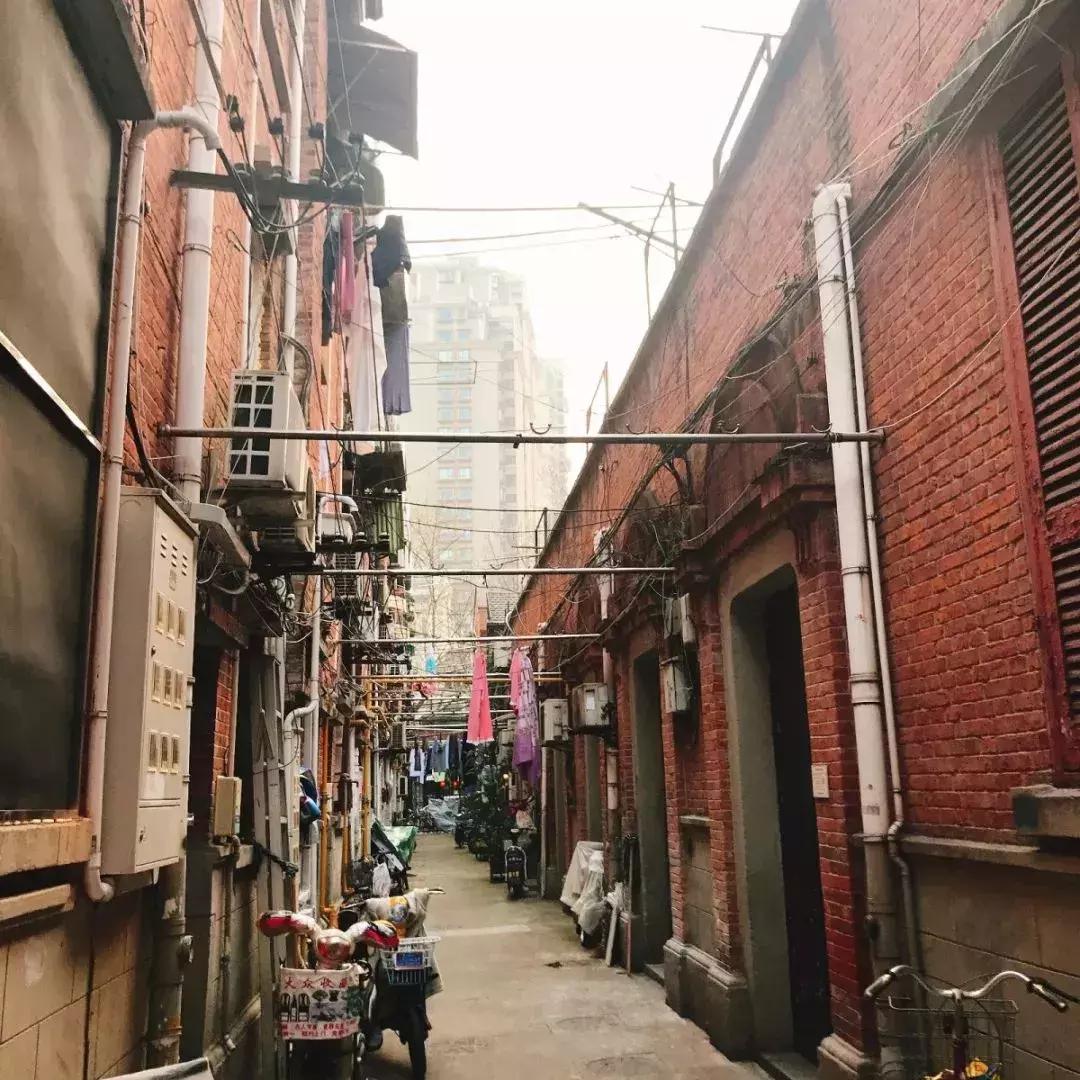 上海高逼格网红打卡地探店,上海网红打卡地小红书