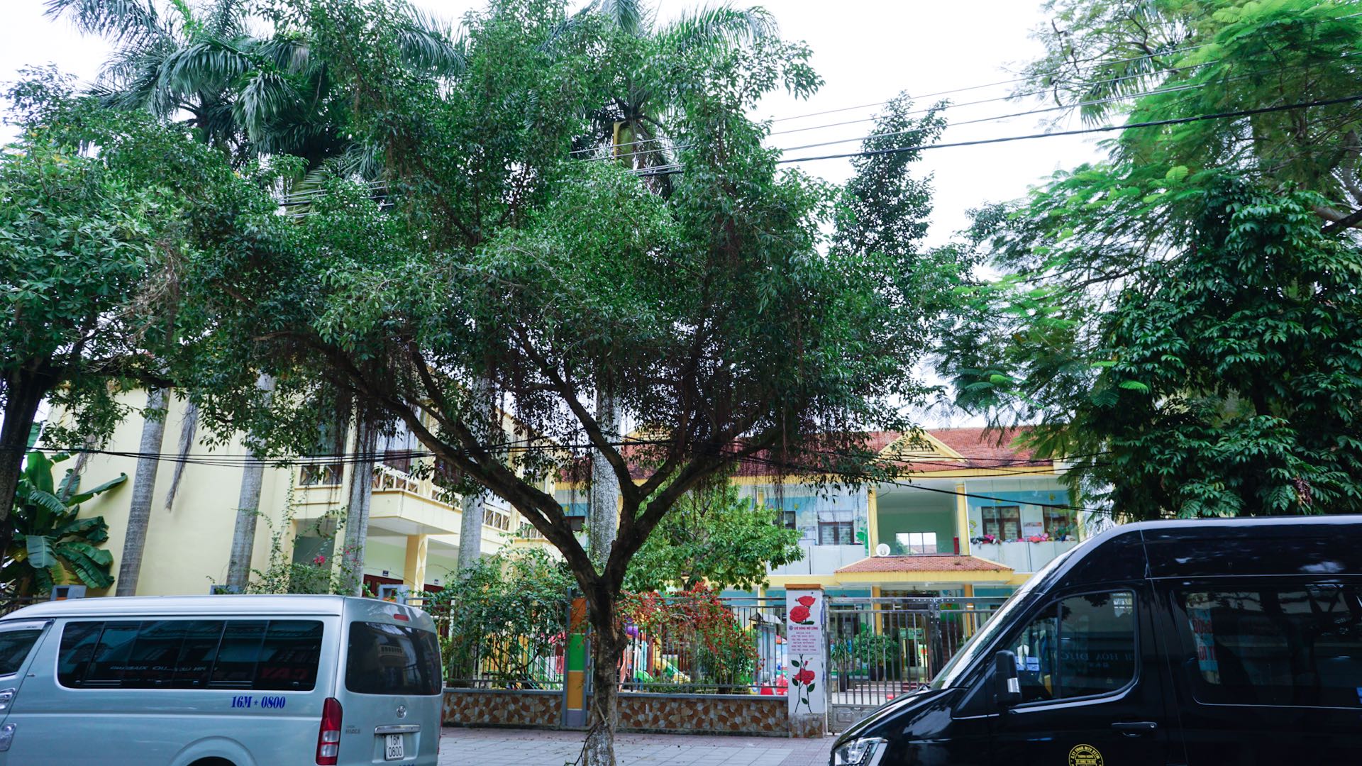 北海开车去越南,从北海一路开车到越南都遇到什么