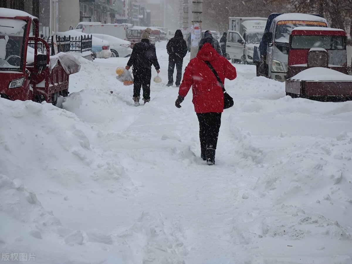 东北极端暴雪中东北虎会受灾吗,东北气温会冻死东北虎吗