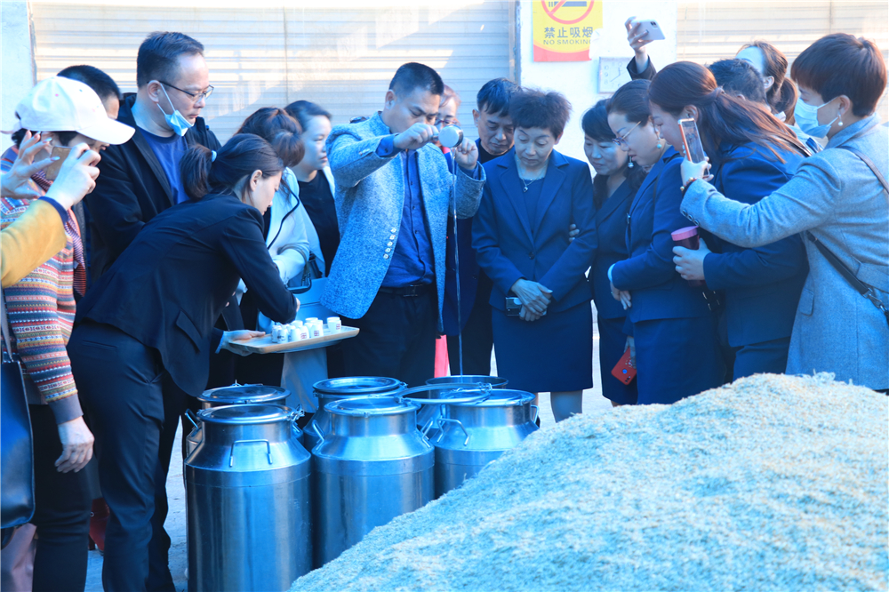 栽下梧桐树引进金凤凰,栽棵梧桐树引来金凤凰