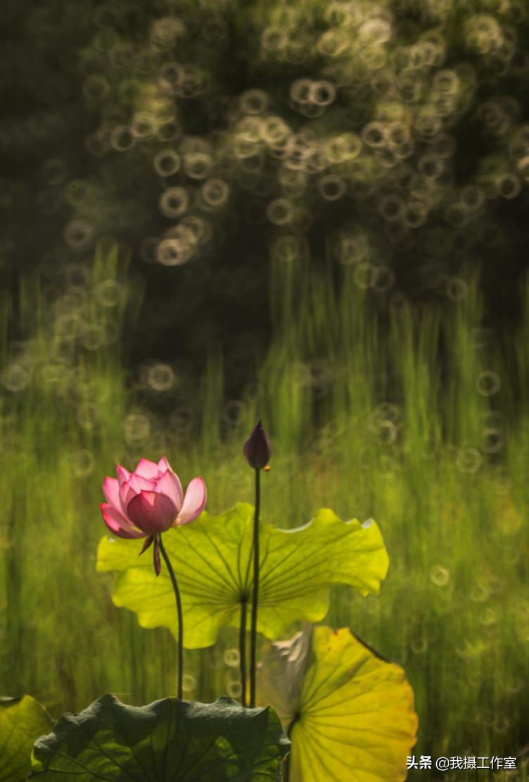 第16届国际摄影艺术展获奖作品,第29届全国摄影艺术展览作品集