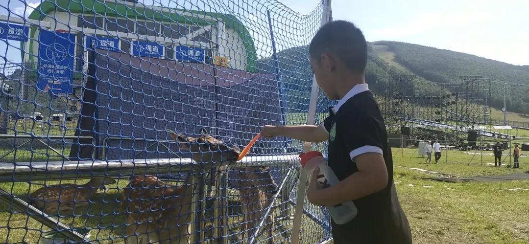 太舞足球比赛,太舞夏令营