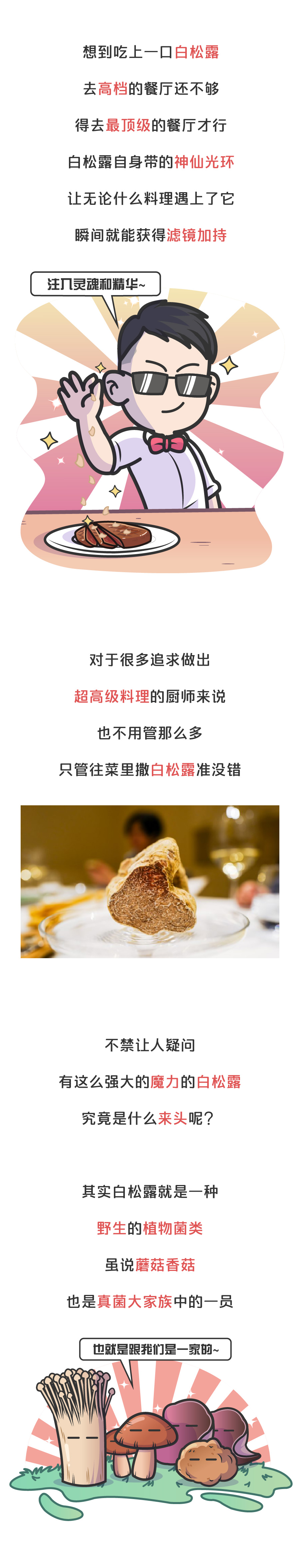 为啥白松露护肤品那么便宜,白松露真的有那么好吗