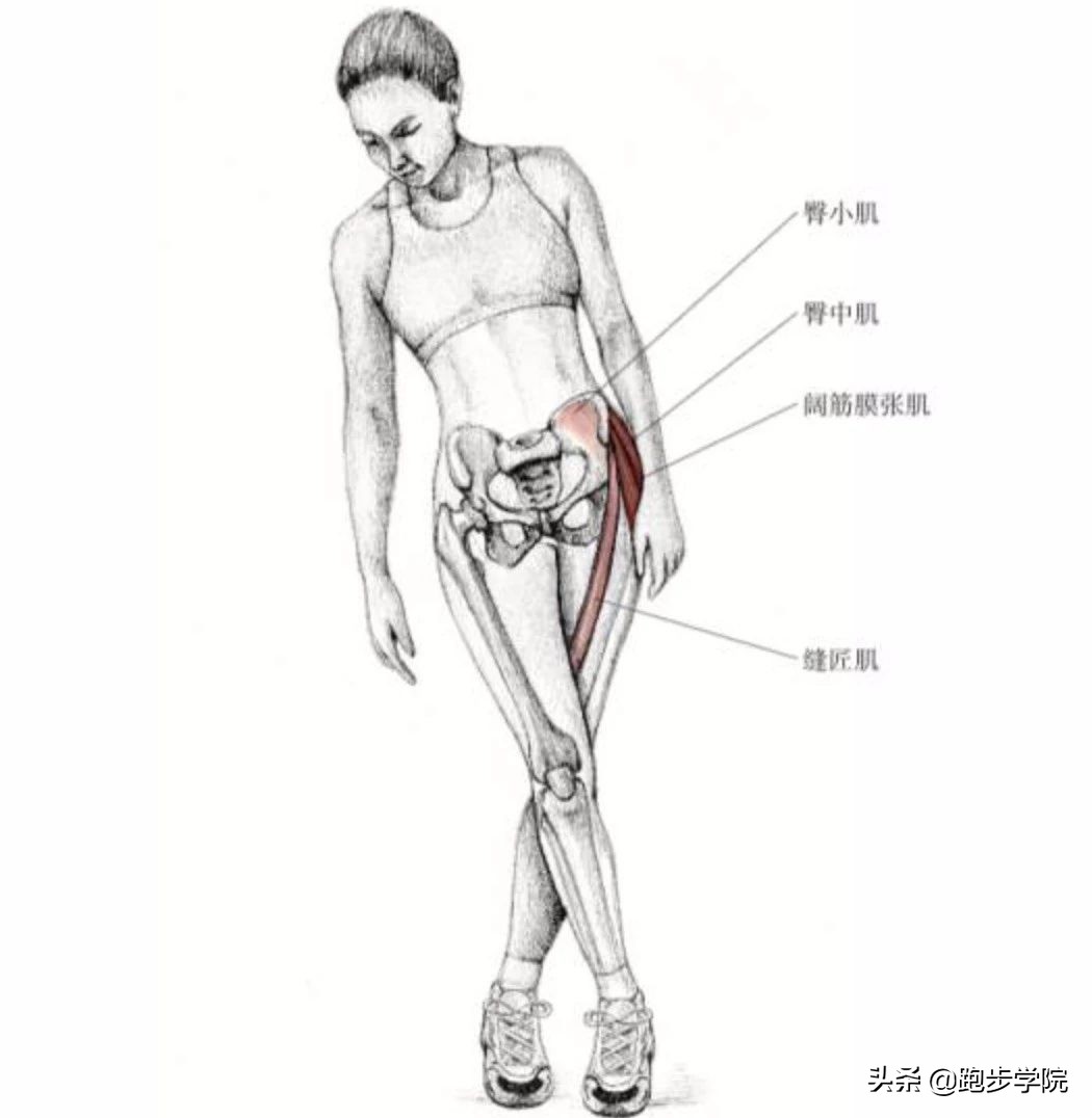 跑步膝盖痛该如何应对,关于跑步膝盖的损伤和恢复知识