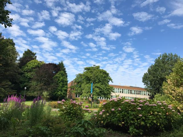 萨塞克斯大学简介,萨塞克斯大学位置