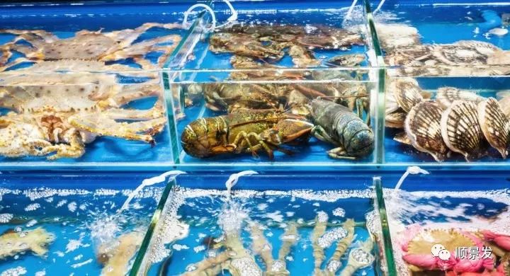 今年进口海鲜市场价格,进口海鲜市场
