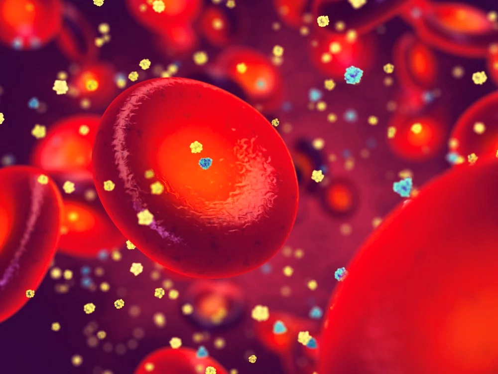 新型降低血糖的生物因子,前沿糖尿病新进展